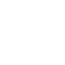 Expert Workforce